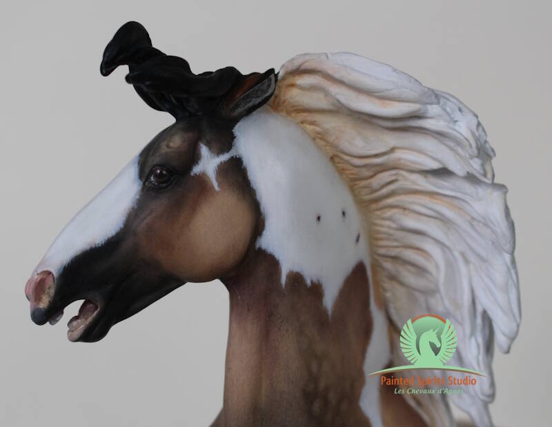 Torréon Shadow head