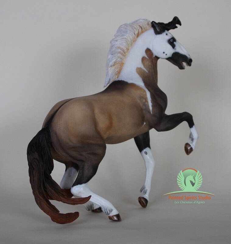 Torréon Shadow - Résine Turbulence