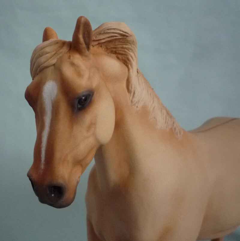 Dilute model horse