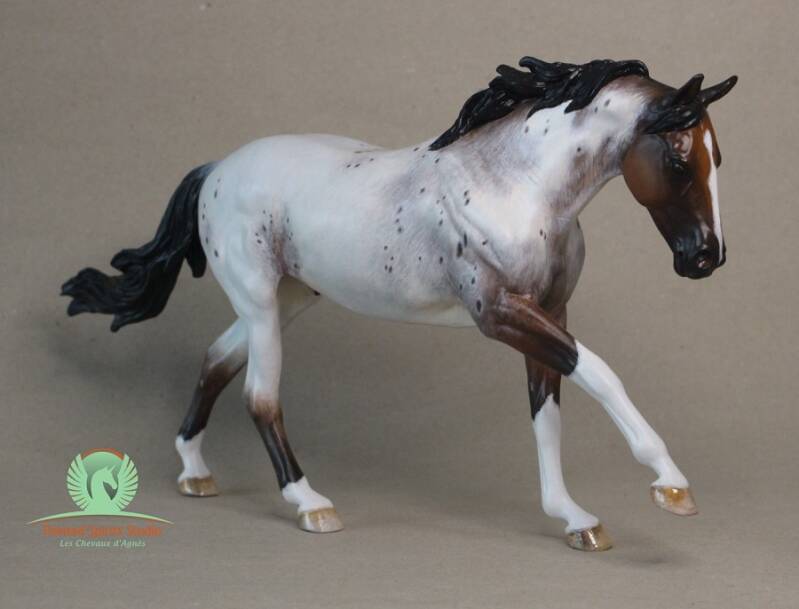 Waïmalo - CM Breyer Australian Stock Horse