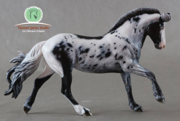 Willow Moon du Clos du Rohan - CM Breyer Astrid