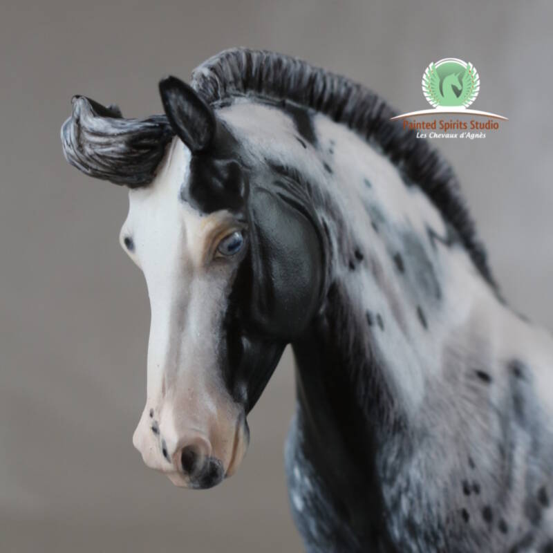 Willow Moon du Clos du Rohan 