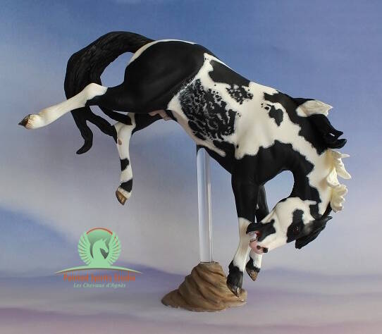 Willow Spots Fever - Résine Seunta Vortex