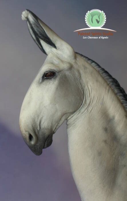 Zeferino du Clos du Rohan