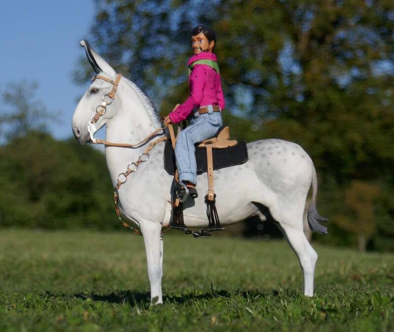 Zeferino - Photo Clémentine B.