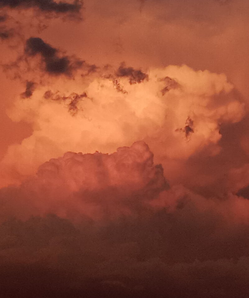 Meditationen im Download