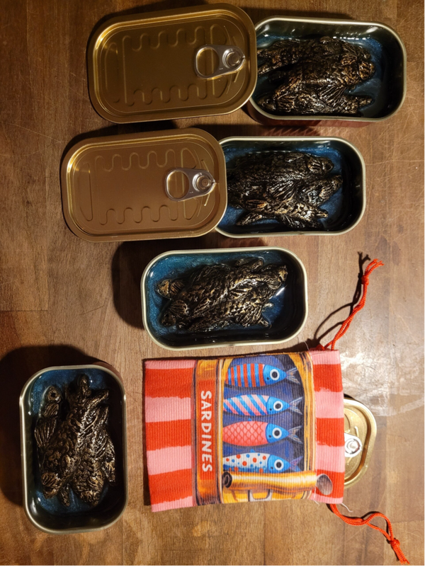 Sardientjes in blik