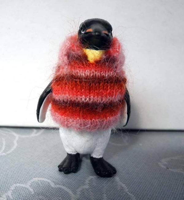 Pinguï met mohair trui met kraag - Penguin wearing a mohair jumper with collor