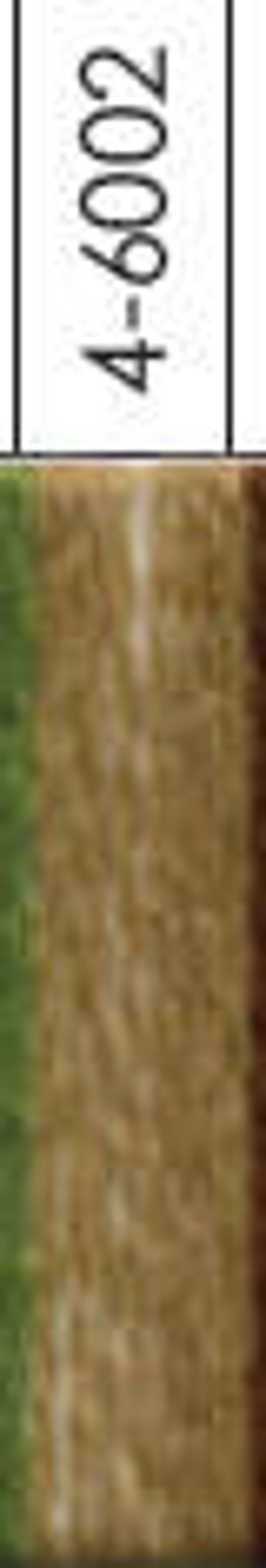 Venne shetlandwol 28/2 nr 6002-lichtbruin - Venne shetlandwool 28/2 #6002-pale brown