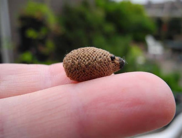 Egel - Sorry, only in Dutch