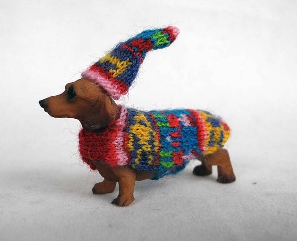 Bbruine teckel met feestjas - Brown dachshund with party coat