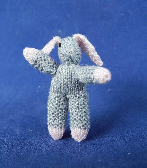 Grijze haas met roze oren - Grey hare with pink ears