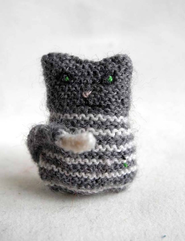 Grijs gestreepte poes - Grey striped cat