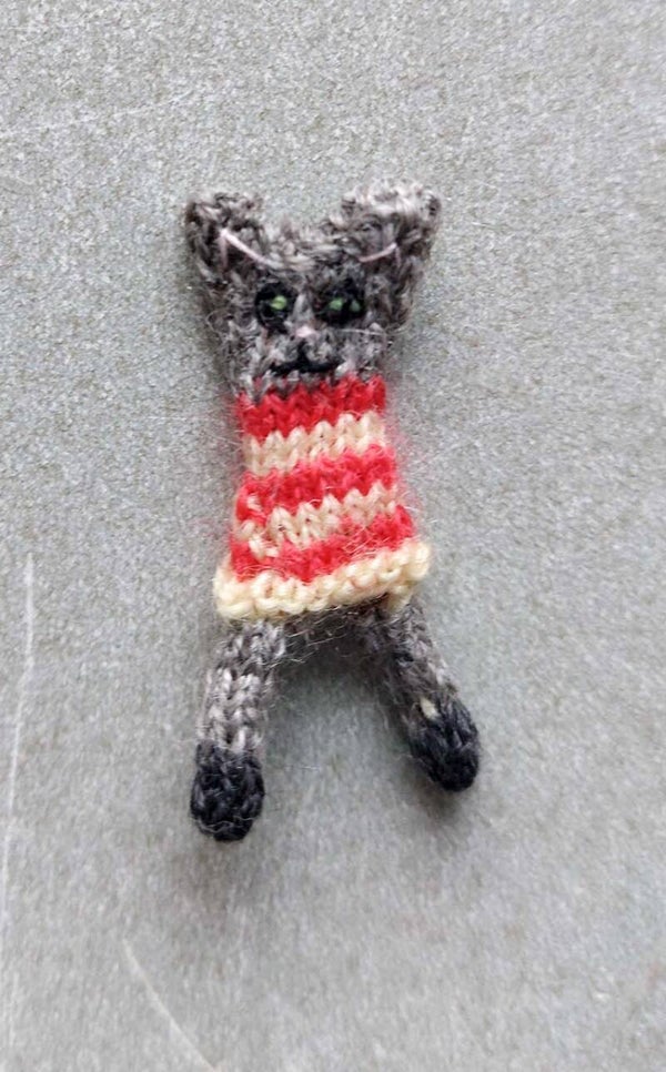 Nieuwe grijze poes met rode gestreepte jurk - New grey cat with red striped dress