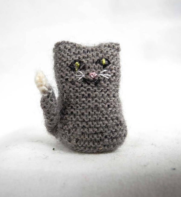 Grijze poes - Grey cat