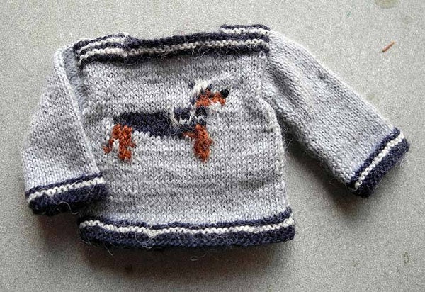 Trui met teckel - Sorry, only in Dutch