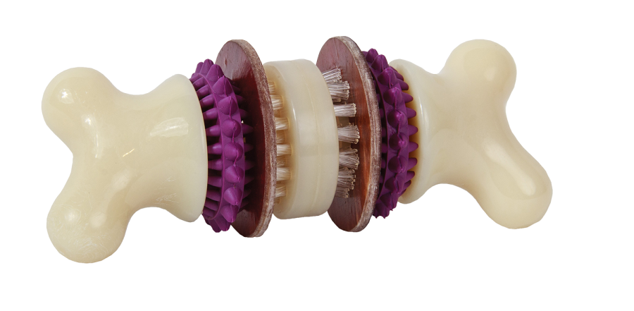 PETSAFE JOUET POUR CHIEN BRISTLE BONE