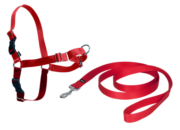 PETSAFE HARNAIS EASY WALK CHIEN XL ROUGE EW-H-XL-RD-45