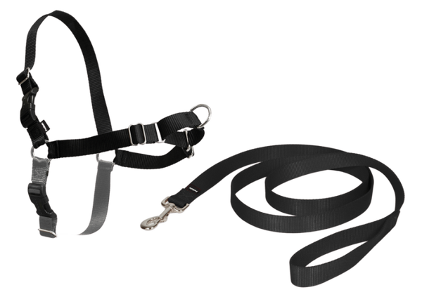 PETSAFE HARNAIS EASY WALK CHIEN XL NOIR EW-H-XL-BK-45