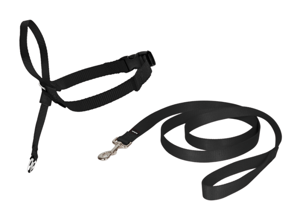 PETSAFE LICOL EASY WALK CHIEN L NOIR EW-HC-L-BK-45