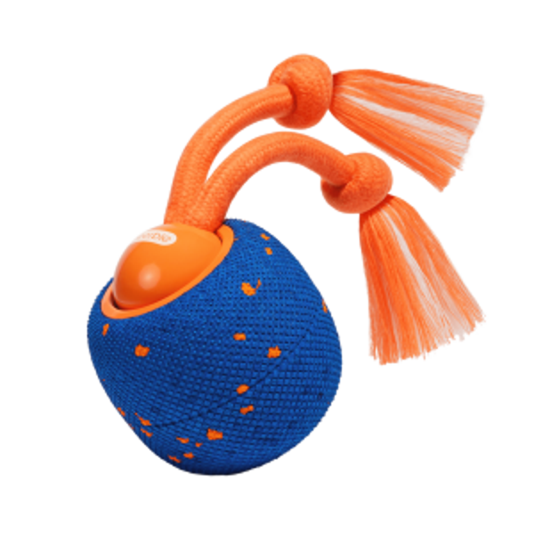 CHEERBLE JOUET INTERACTIF WICKED BALL ROLLY BLEU CWQ07
