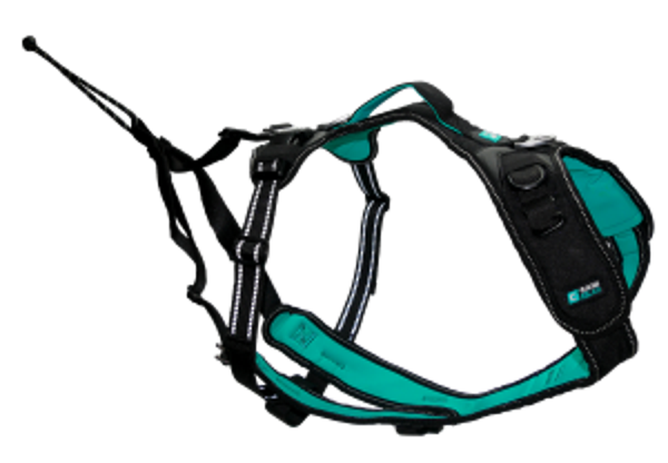 CANIGEAR HARNAIS SYMBIOZ