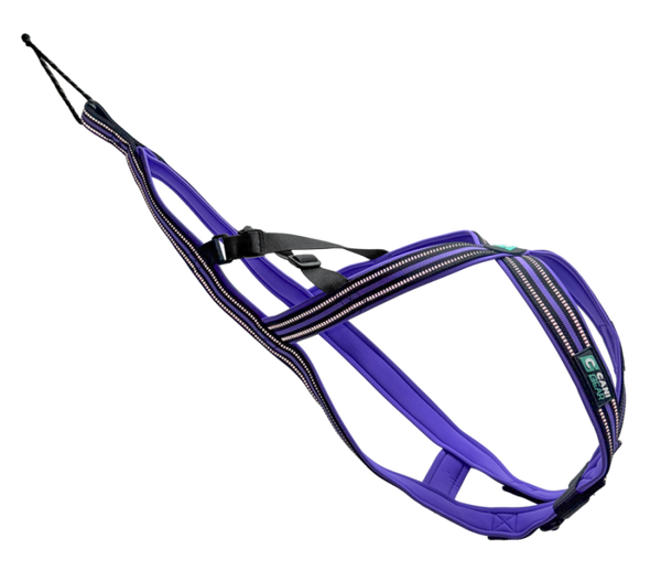 CANIGEAR HARNAIS OLYMPIA LILAS