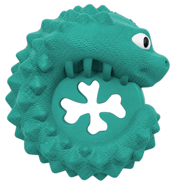 CANIGEAR JOUET CAOUTCHOUC CLOVER DRAGON CG6141