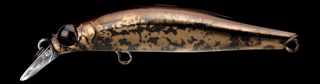 JACKSON POISSON NAGEUR ARTIST FR55