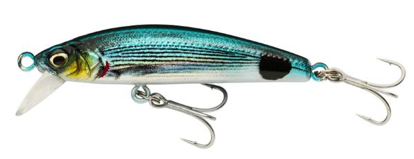 SAVAGE GEAR POISSON NAGEUR FLOTTANT MER GRAVITY MINNOW 5CM 3.1G