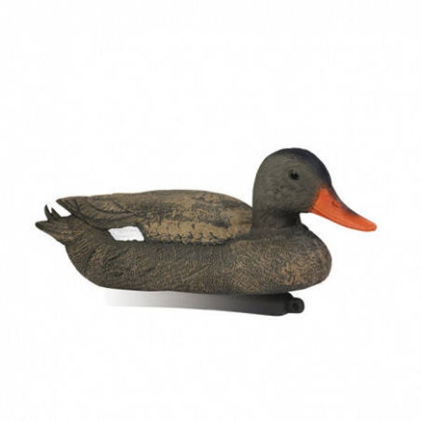 STEPLAND CHIPEAU FEMELLE NORMAL LOT DE 12