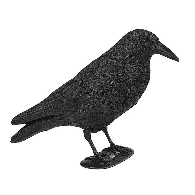 STEPLAND CORBEAU SIMPLE