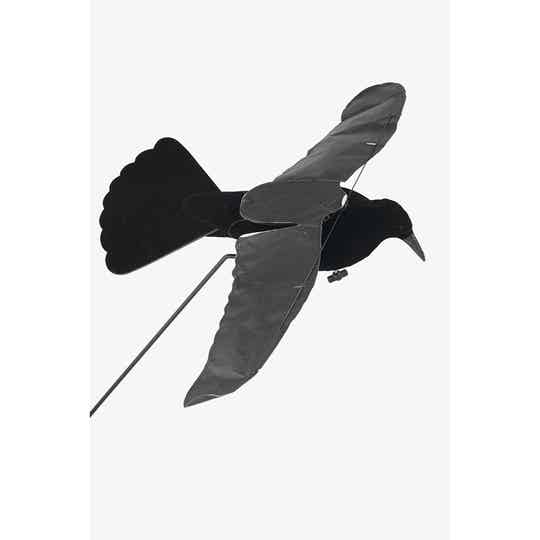 STEPLAND CORBEAU STEP-FLAP-LOT DE 12