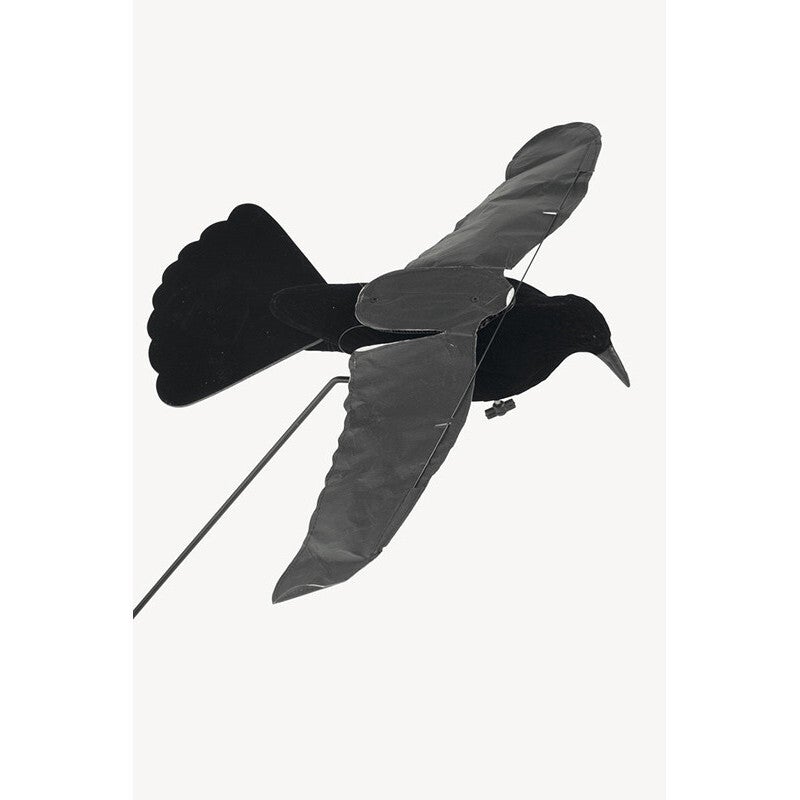 STEPLAND CORBEAU STEP-FLAP