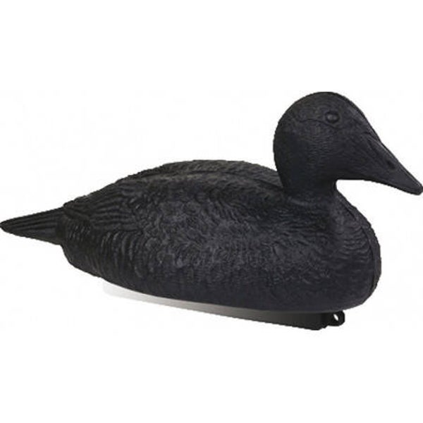 STEPLAND EIDER NOIR NORMAL