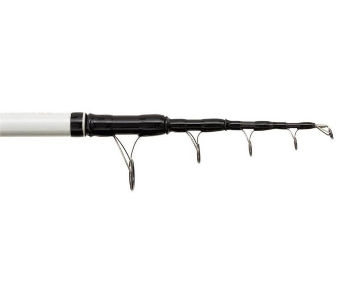 Canne Surfcasting Mitchell Mag Pro Africa 4m 600-800g - Télescopique