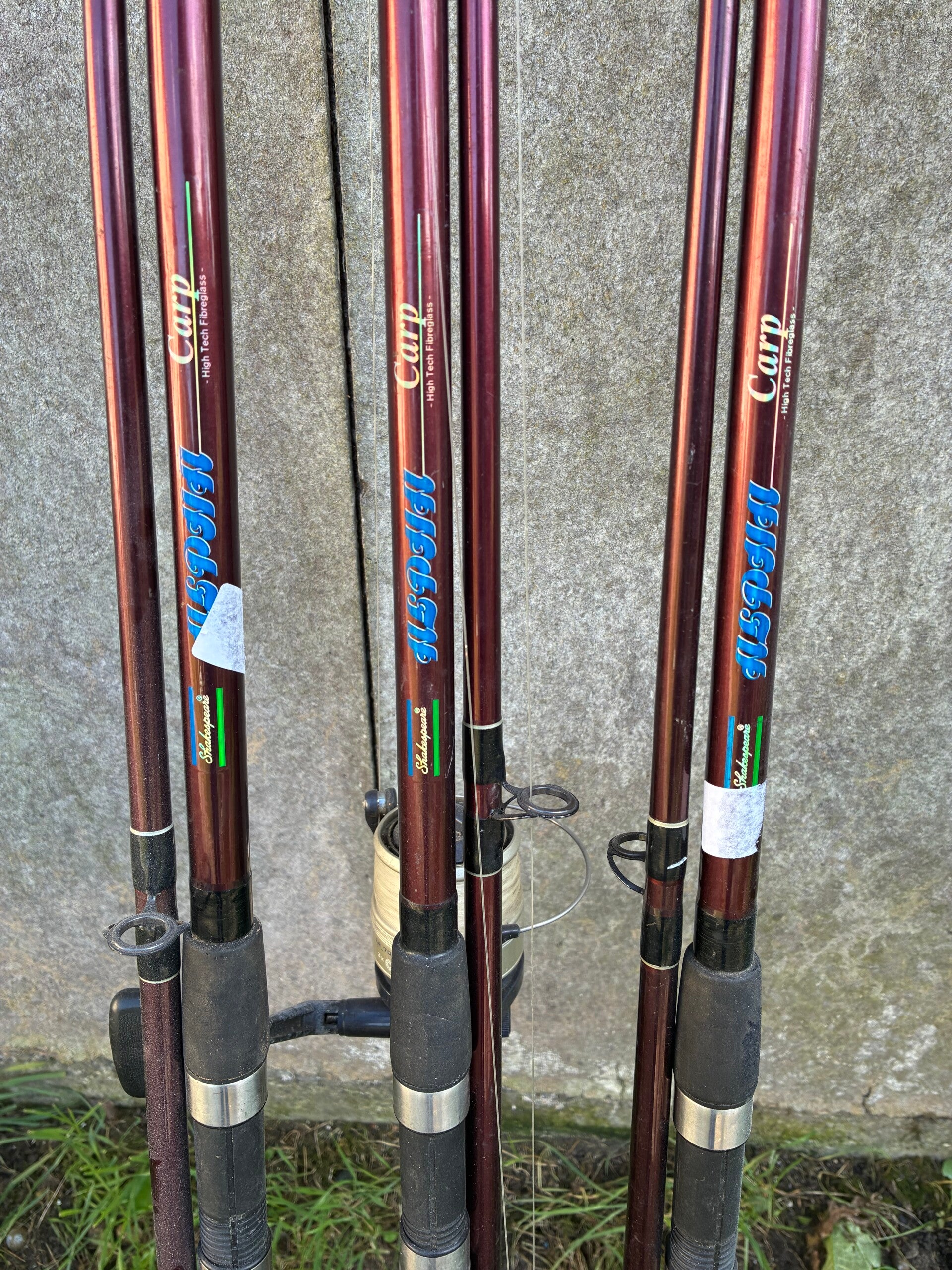 OCCASION LOT 3 CANNES CARPE SANGER CARP 12 FT + MOULINETS