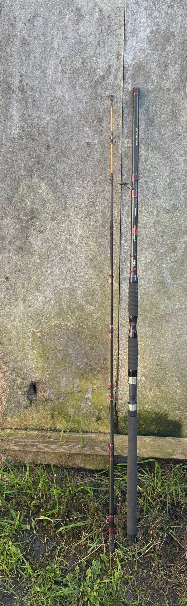 OCCASION CANNE SILURE SHIMANO FORCE MASTER CATFISH 300 H – ROBUSTE