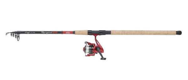 BERKLEY CANNE SPECIALE ANGUILLE CHERRYWOOD SPEZI EEL TÉLÉ COMBO