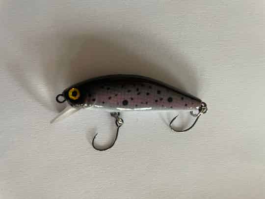 ASPOISE POISSON NAGEUR 55MM 6GR