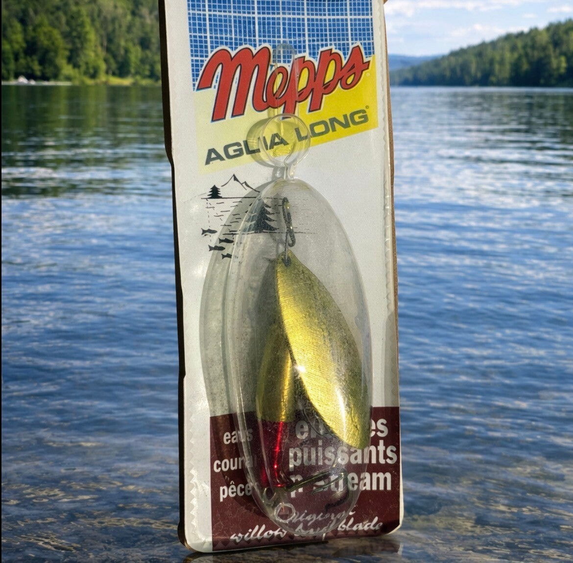 MEPP’S AGLIA LONG OR TAILLE 2