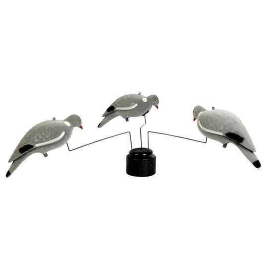 STEPLAND MANEGE A PIGEONS