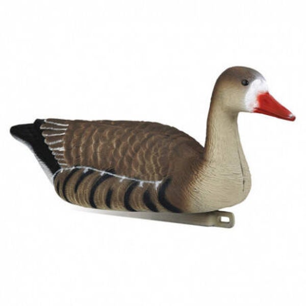 STEPLAND OIE RIEUSE NORMAL LOT DE 4