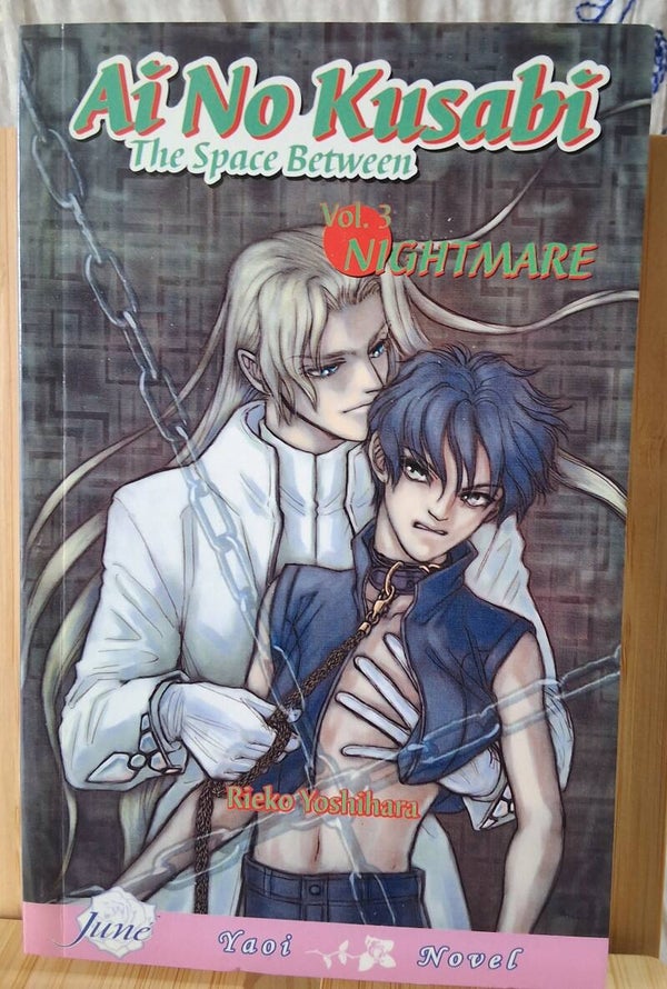 Ai No Kusabi, vol. 3: Nightmare (Yaoi Novel)