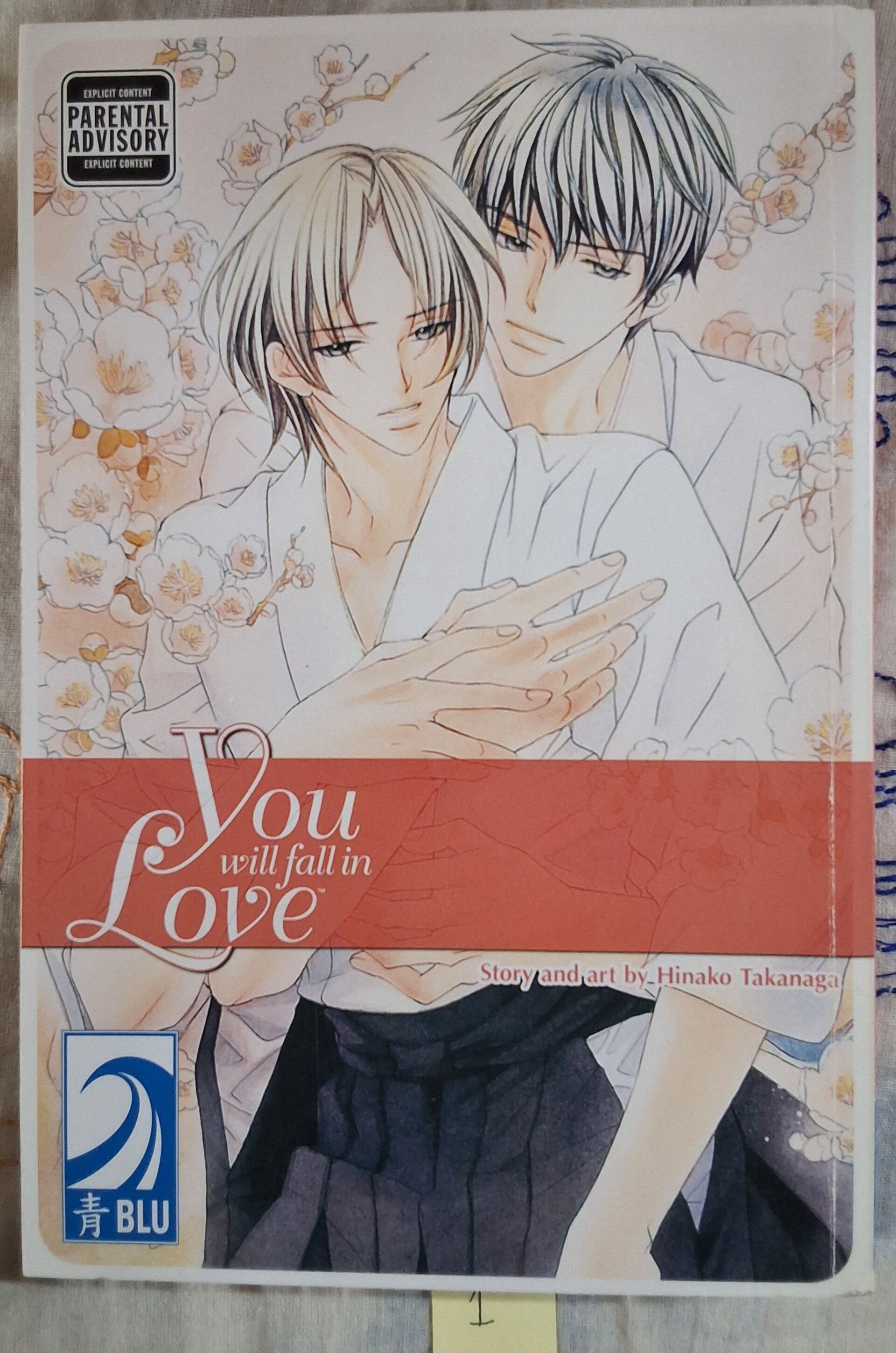 You Will Fall in Love