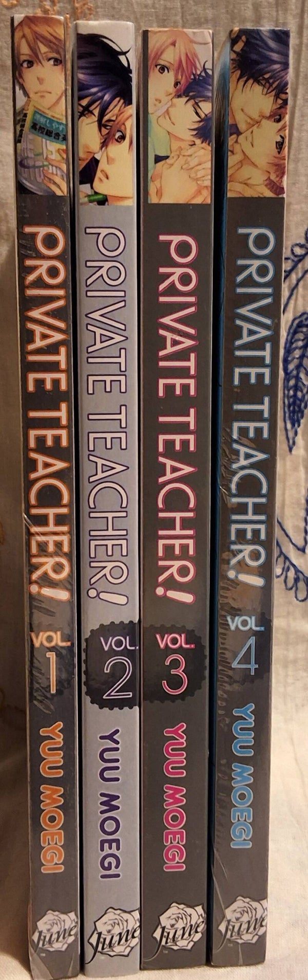 Private Teacher! vols. 1-4