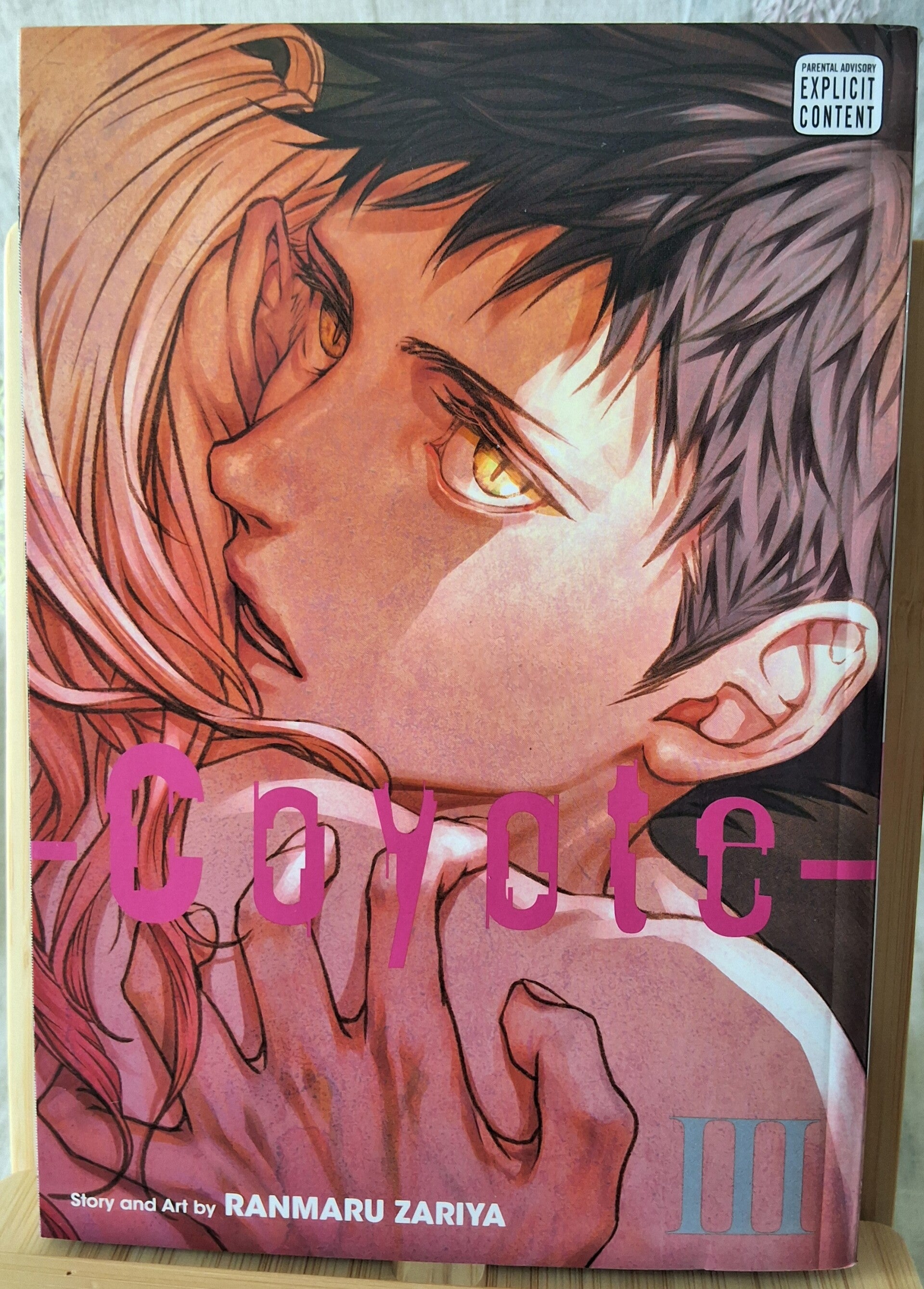 Coyote, vol 3