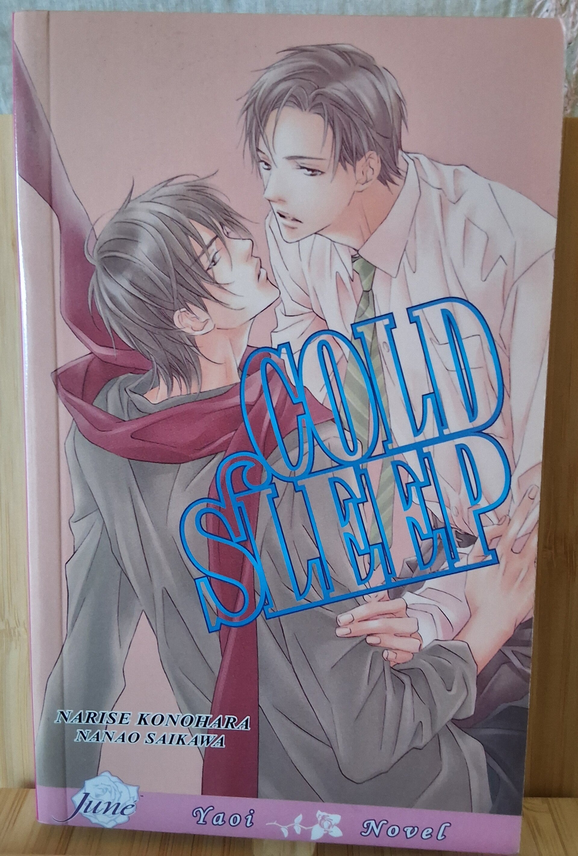 Cold Sleep (Yaoi Novel)