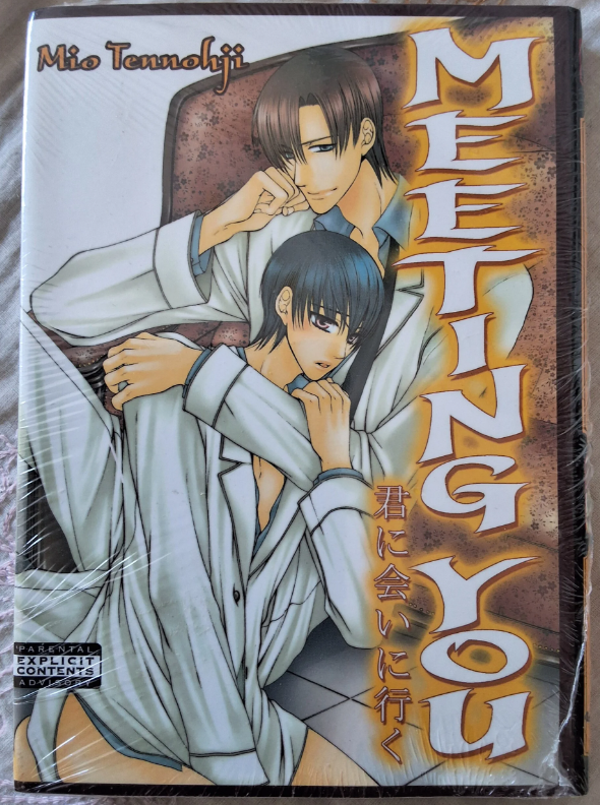 Meeting You
