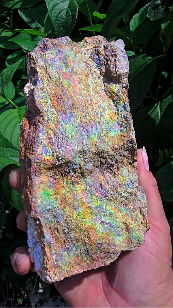 Iridiscerende Goethiet (Aurora Silvatica Vein)